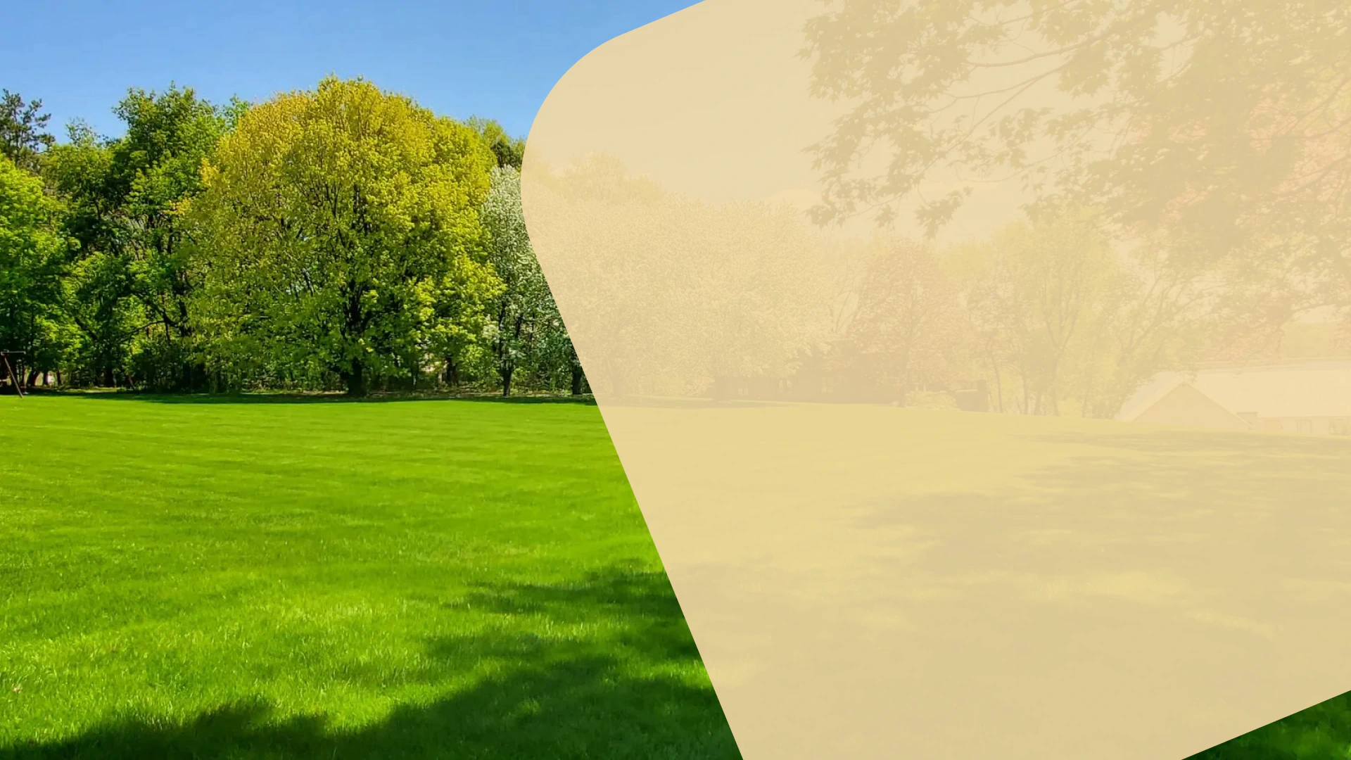 bearded guy parallax